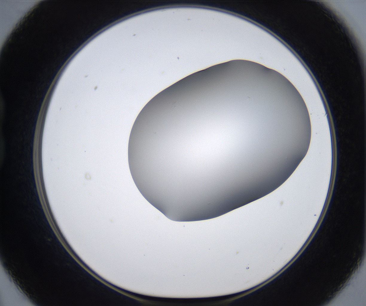 folderID374_plateID2374_batchID11190_wellNum21_profileID1_d1_r175191_ef.jpg