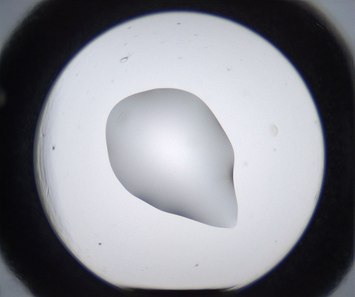 folderID377_plateID2377_batchID11227_wellNum66_profileID1_d1_r175716_ef.jpg
