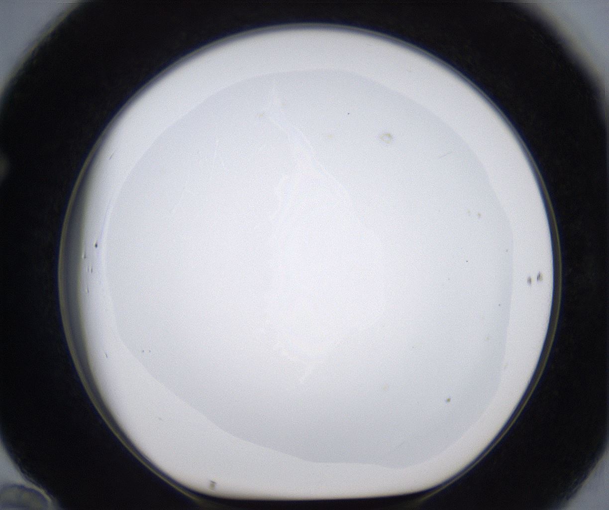 folderID377_plateID2377_batchID11227_wellNum70_profileID1_d1_r175720_ef.jpg