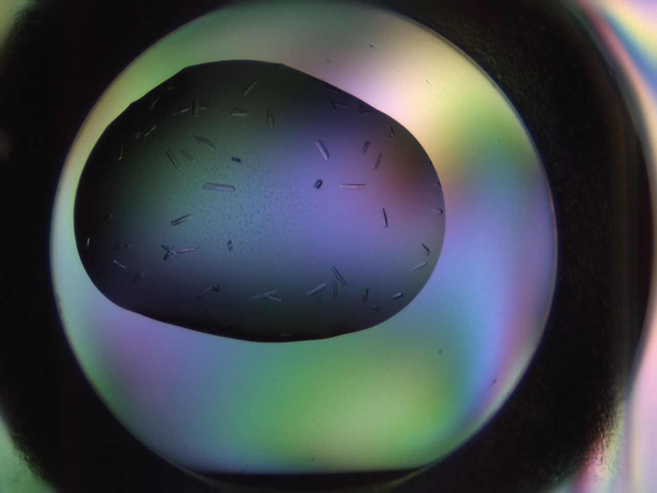 02kl_F2_ImagerDefaults_9.jpg