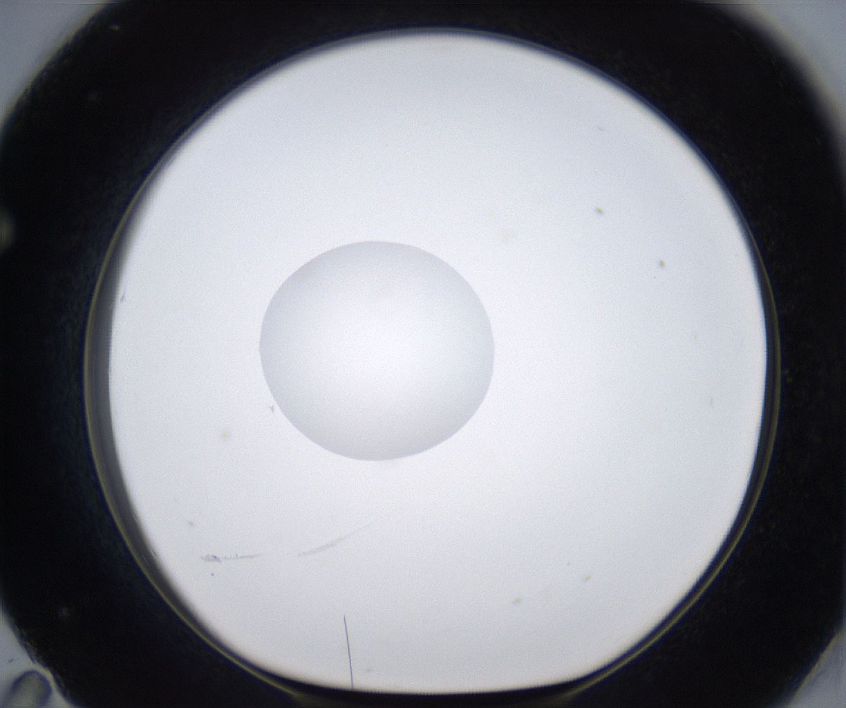 folderID377_plateID2377_batchID11227_wellNum71_profileID1_d1_r175721_ef.jpg