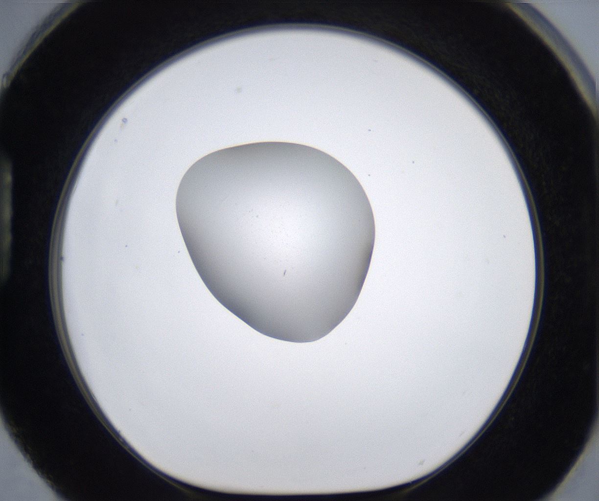 folderID377_plateID2377_batchID11227_wellNum88_profileID1_d1_r175738_ef.jpg