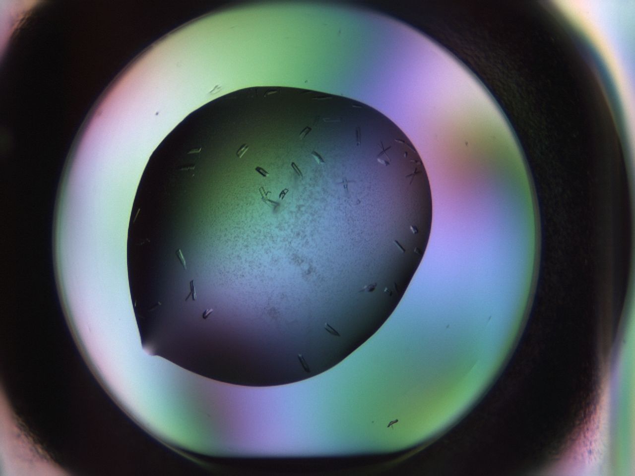02kl_F3_ImagerDefaults_9.jpg