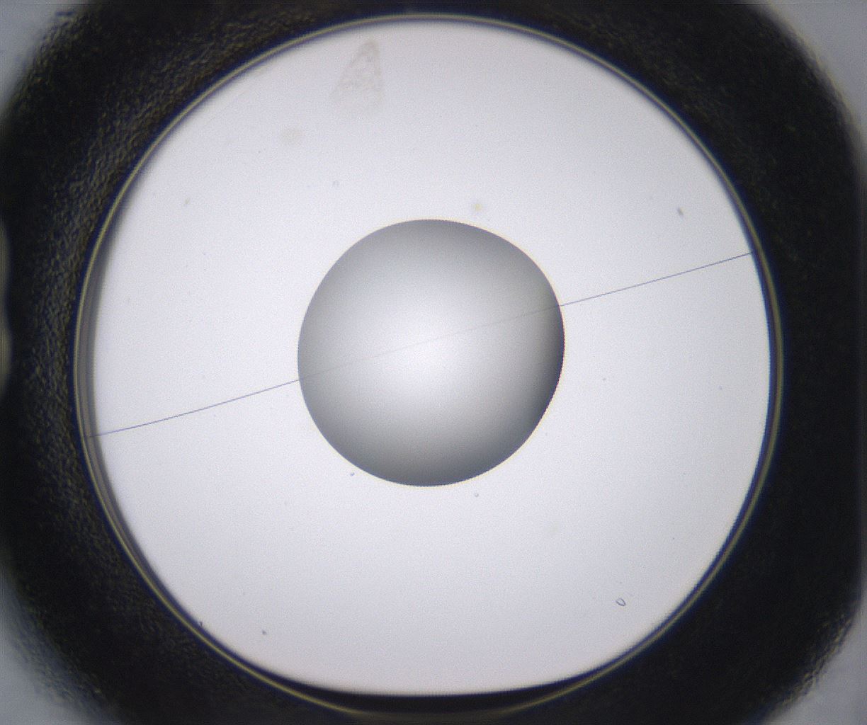 folderID378_plateID2378_batchID11226_wellNum13_profileID1_d1_r175567_ef.jpg