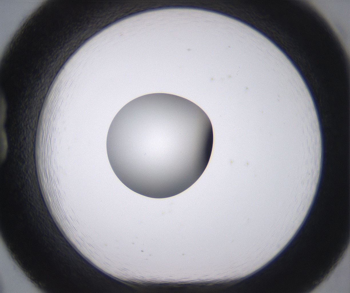 folderID378_plateID2378_batchID11226_wellNum20_profileID1_d1_r175574_ef.jpg