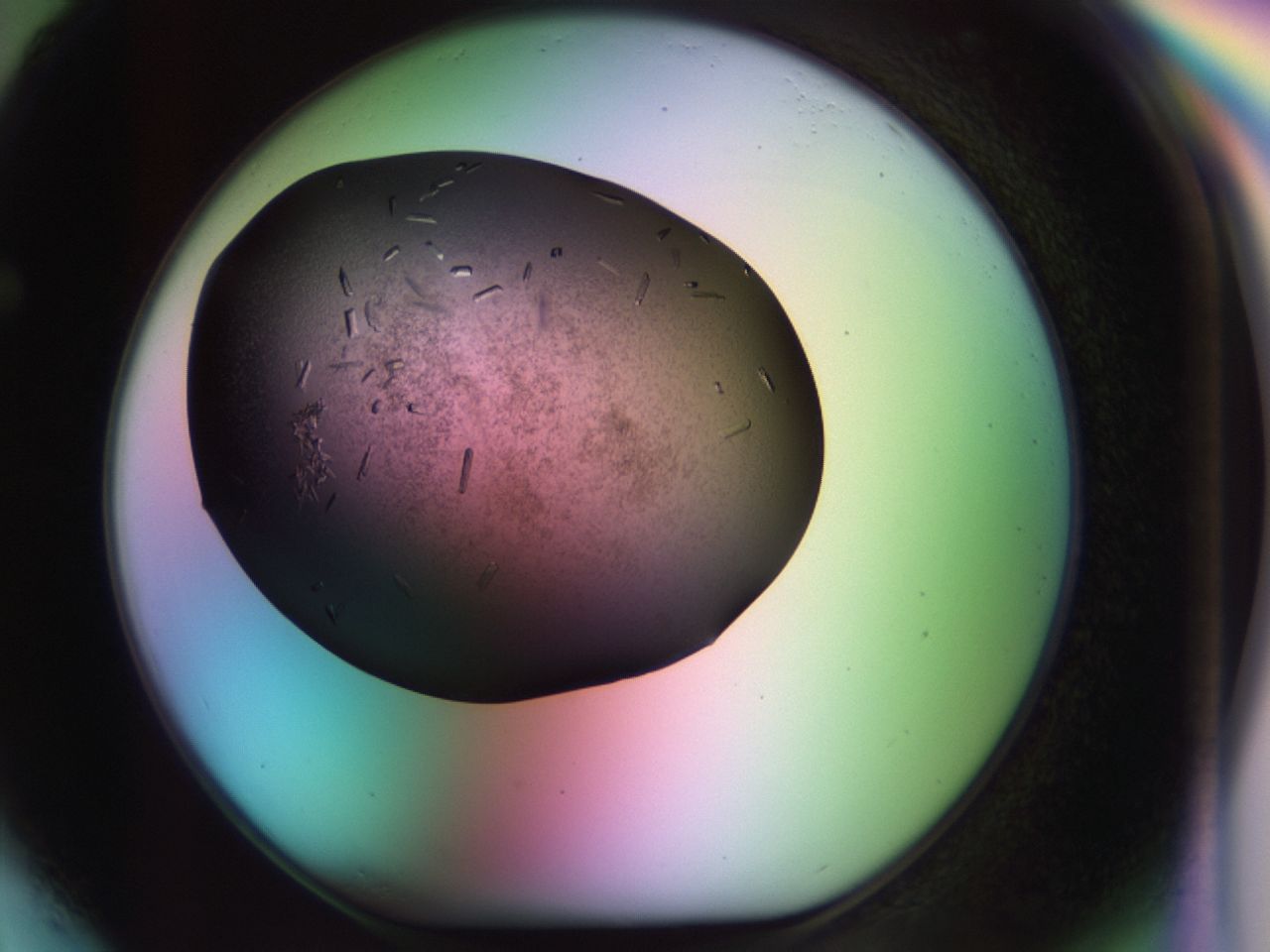 02kl_F4_ImagerDefaults_9.jpg