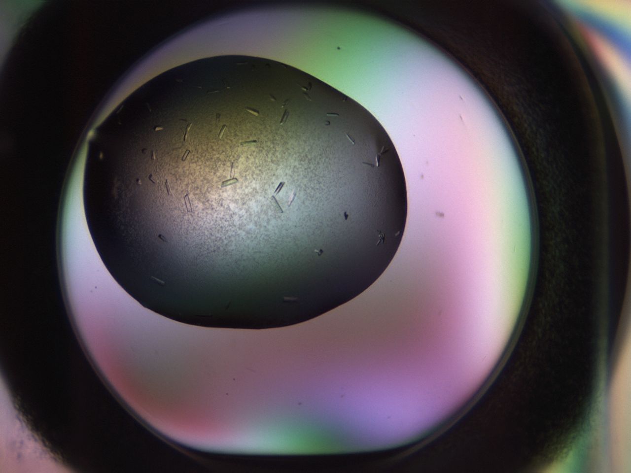 02kl_F5_ImagerDefaults_9.jpg
