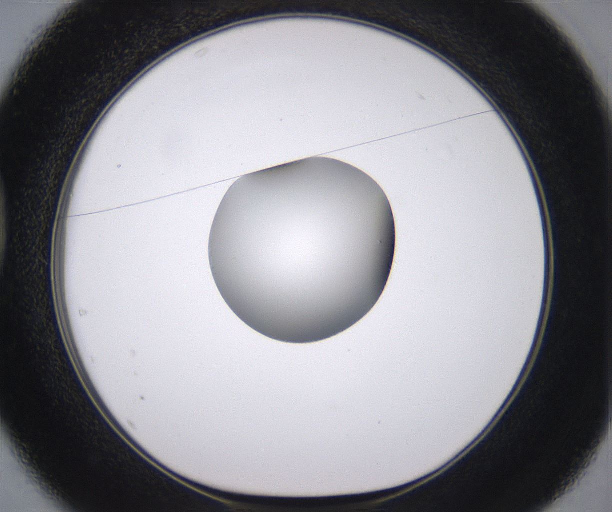 folderID378_plateID2378_batchID11226_wellNum37_profileID1_d1_r175591_ef.jpg