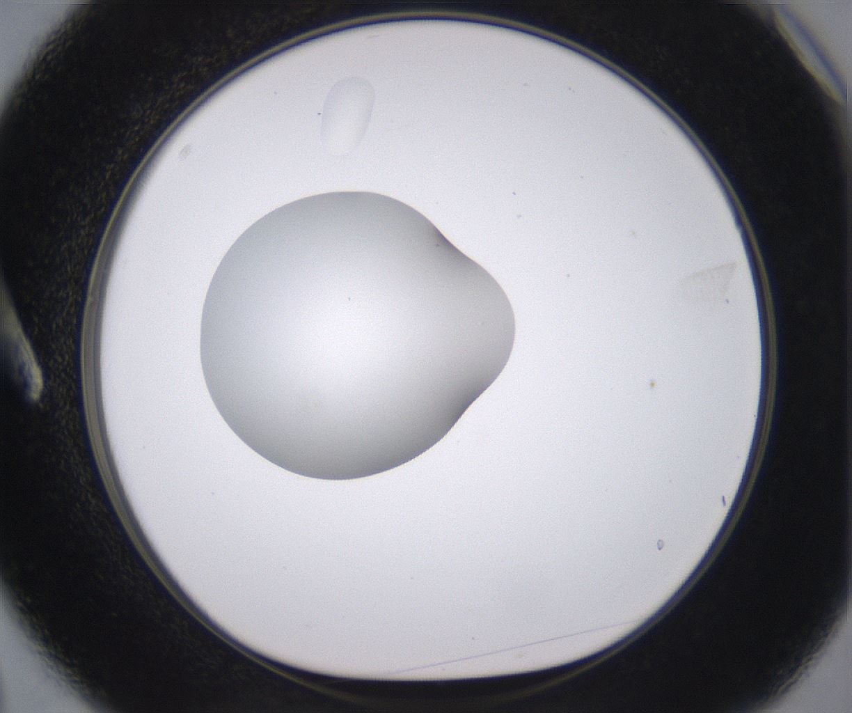 folderID378_plateID2378_batchID11226_wellNum3_profileID1_d1_r175557_ef.jpg