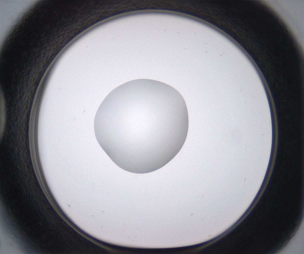 folderID378_plateID2378_batchID11226_wellNum41_profileID1_d1_r175595_ef.jpg