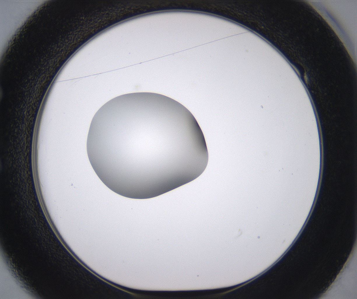 folderID378_plateID2378_batchID11226_wellNum49_profileID1_d1_r175603_ef.jpg