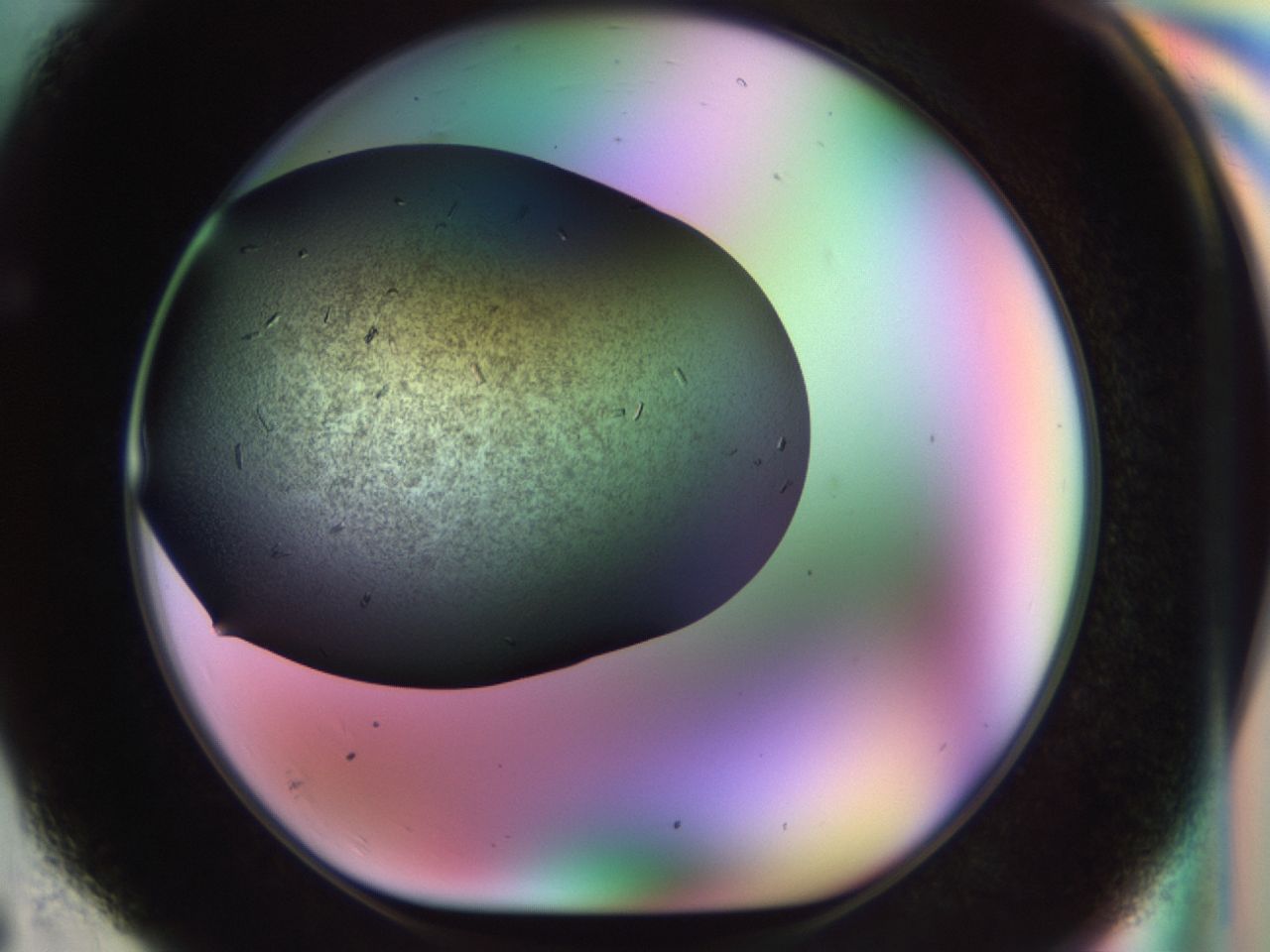 02kl_F6_ImagerDefaults_9.jpg