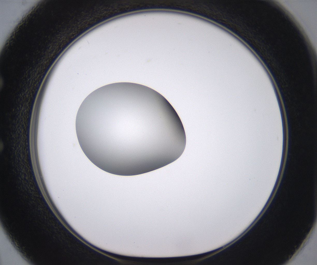 folderID378_plateID2378_batchID11226_wellNum50_profileID1_d1_r175604_ef.jpg