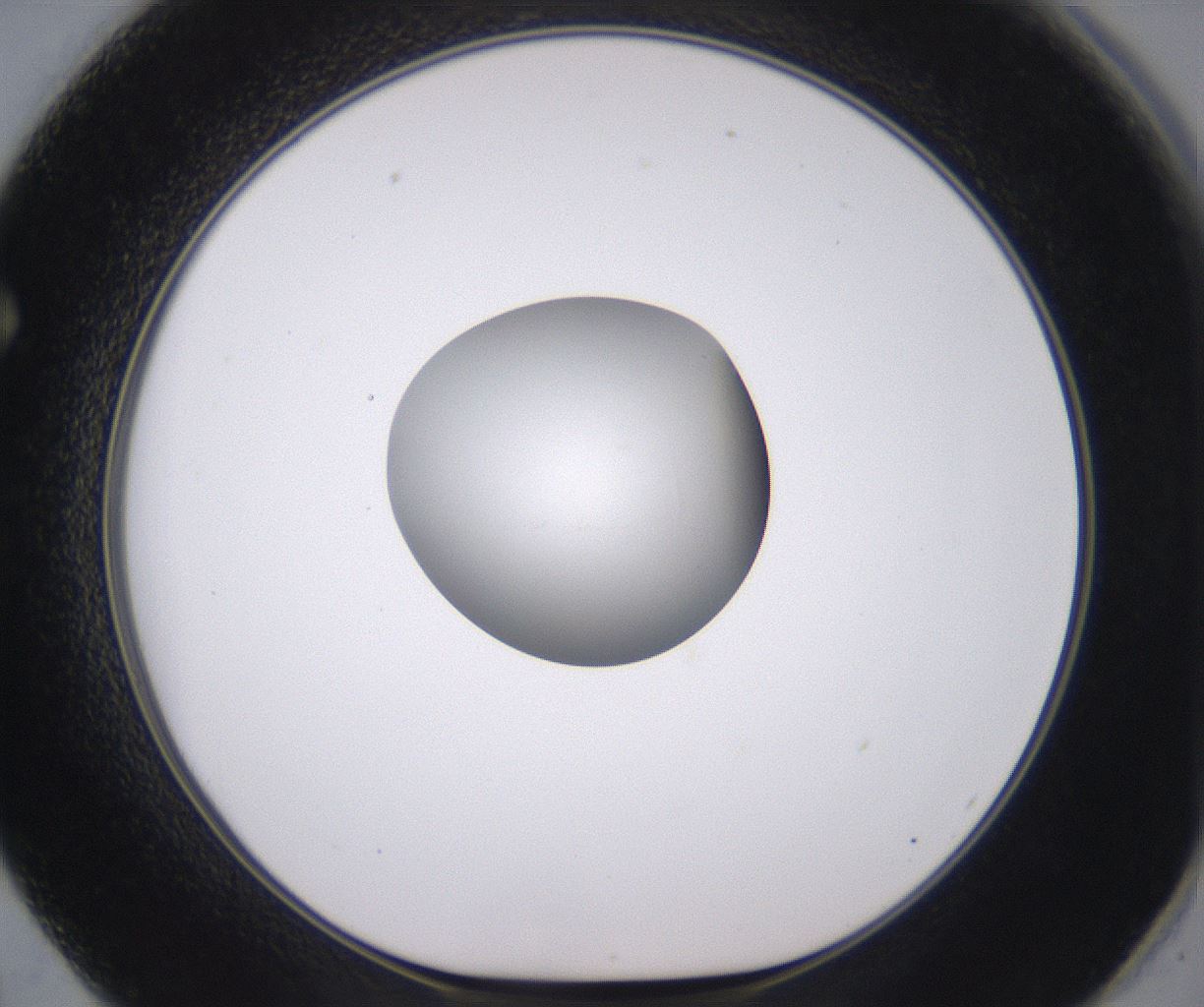 folderID378_plateID2378_batchID11226_wellNum62_profileID1_d1_r175616_ef.jpg