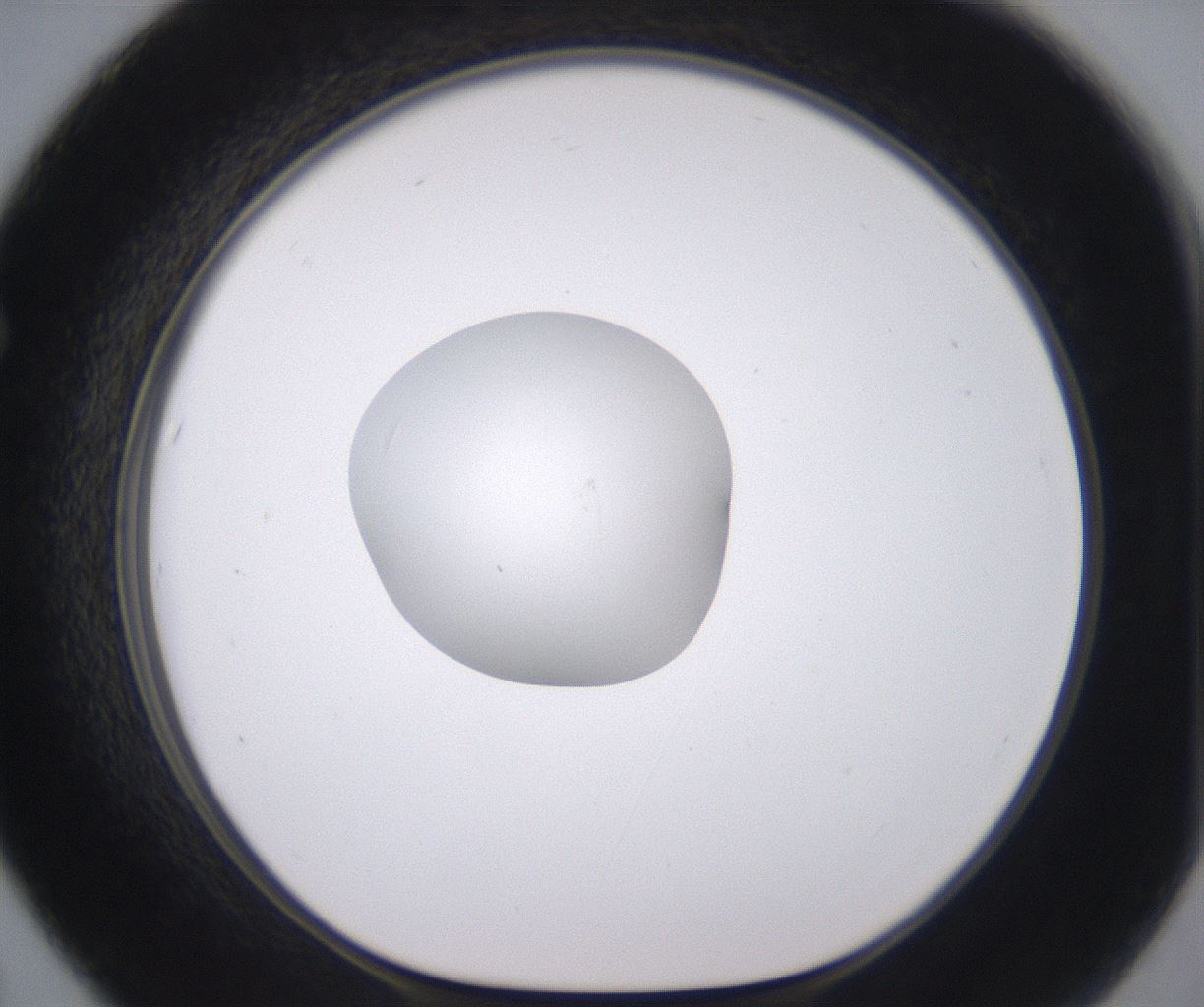 folderID378_plateID2378_batchID11226_wellNum67_profileID1_d1_r175621_ef.jpg