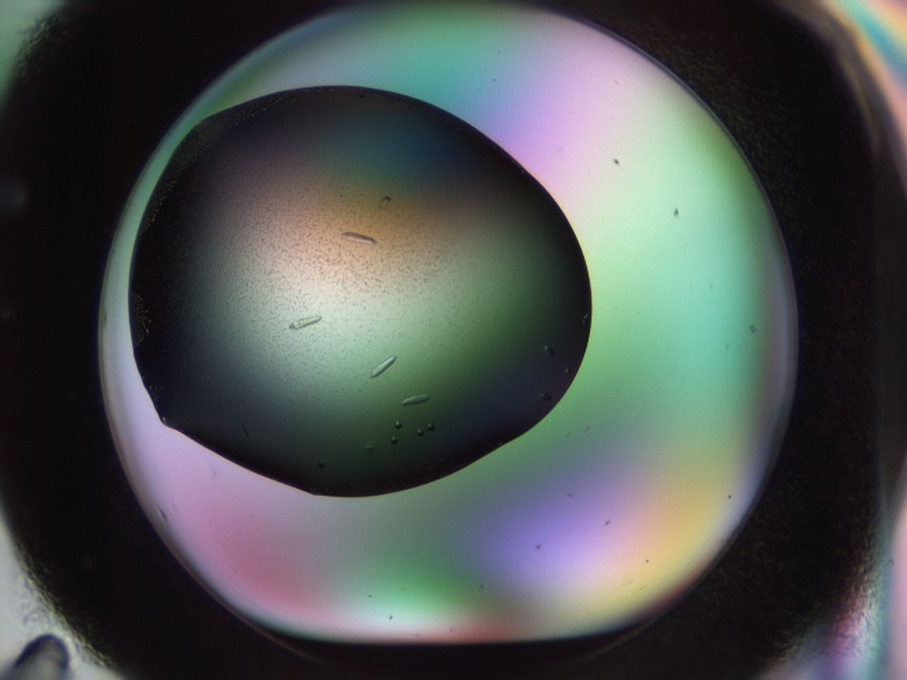 02kl_F11_ImagerDefaults_9.jpg
