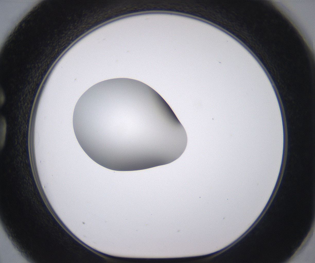 folderID378_plateID2378_batchID11226_wellNum75_profileID1_d1_r175629_ef.jpg