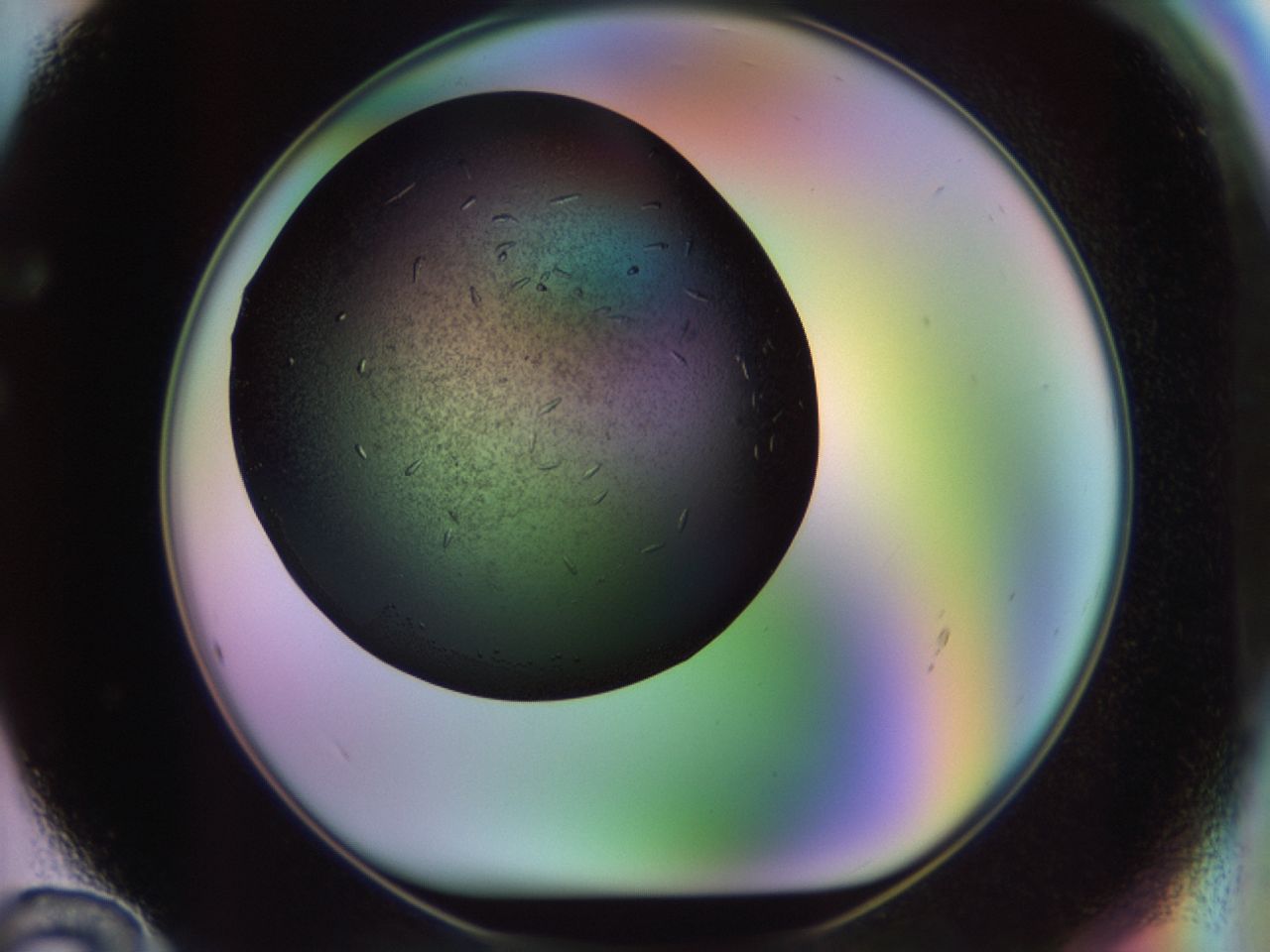 02kl_F12_ImagerDefaults_9.jpg