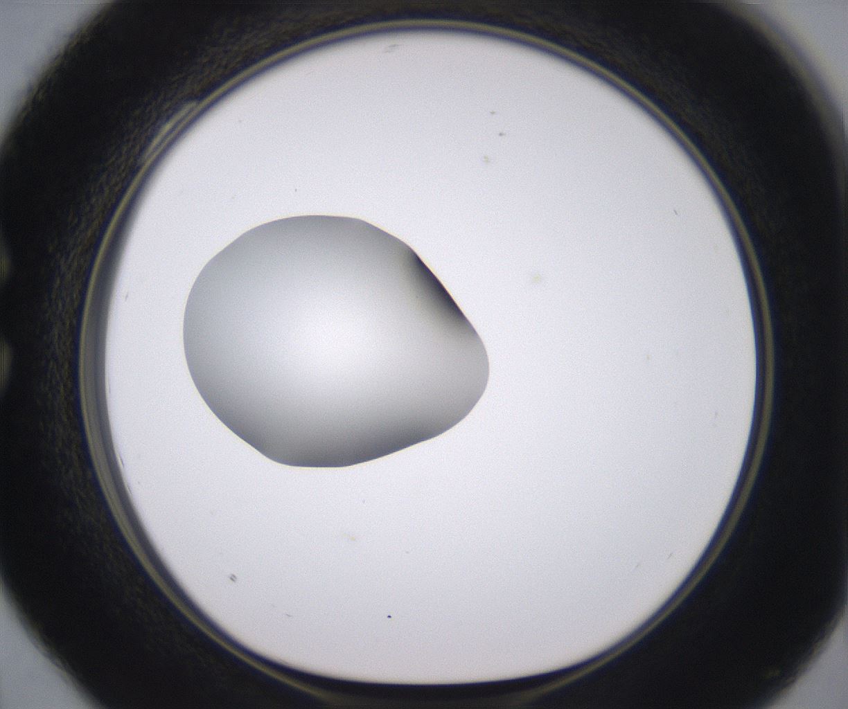 folderID379_plateID2379_batchID11224_wellNum28_profileID1_d1_r175390_ef.jpg