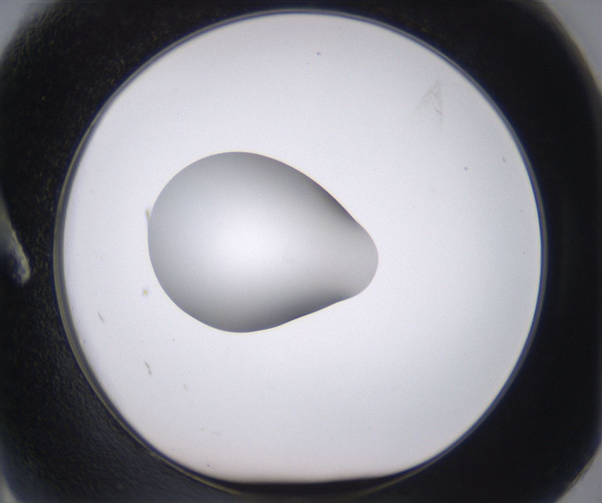 folderID379_plateID2379_batchID11224_wellNum2_profileID1_d1_r175364_ef.jpg