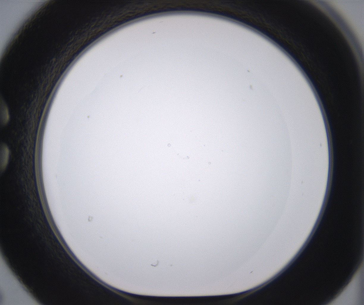 folderID379_plateID2379_batchID11224_wellNum30_profileID1_d1_r175392_ef.jpg