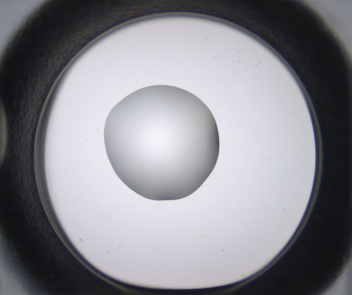 folderID379_plateID2379_batchID11224_wellNum41_profileID1_d1_r175403_ef.jpg