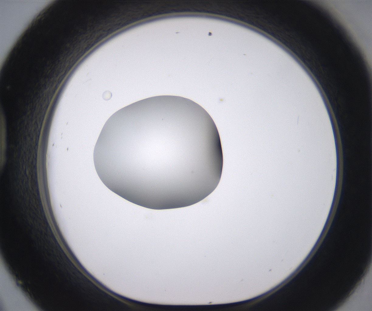 folderID379_plateID2379_batchID11224_wellNum45_profileID1_d1_r175407_ef.jpg