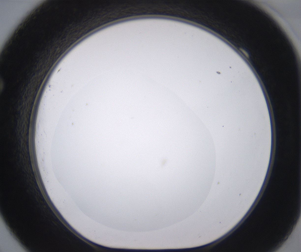 folderID379_plateID2379_batchID11224_wellNum69_profileID1_d1_r175431_ef.jpg