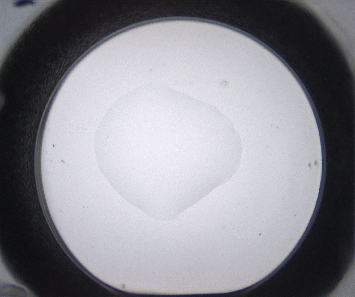 folderID379_plateID2379_batchID11224_wellNum70_profileID1_d1_r175432_ef.jpg