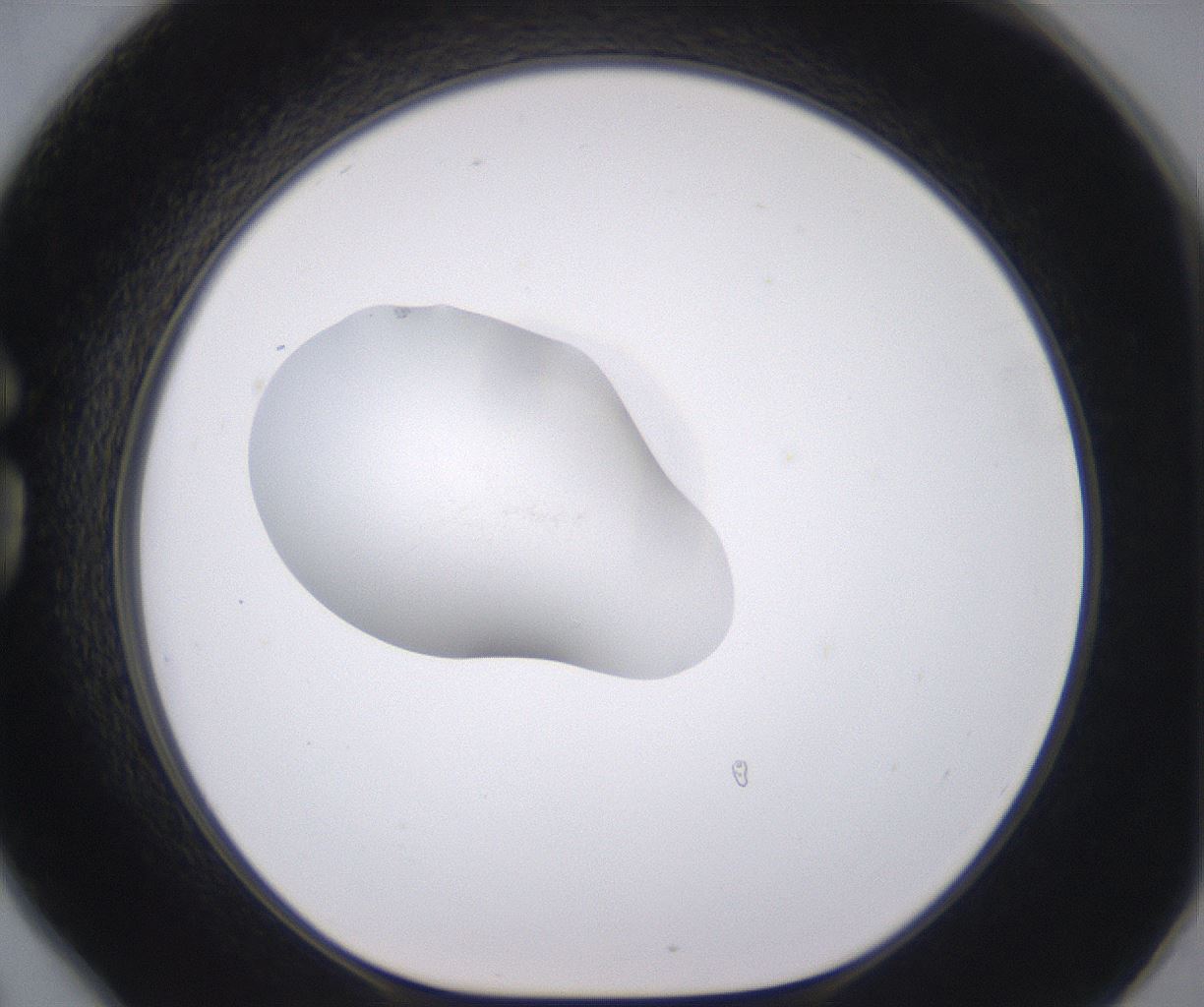 folderID379_plateID2379_batchID11224_wellNum78_profileID1_d1_r175440_ef.jpg