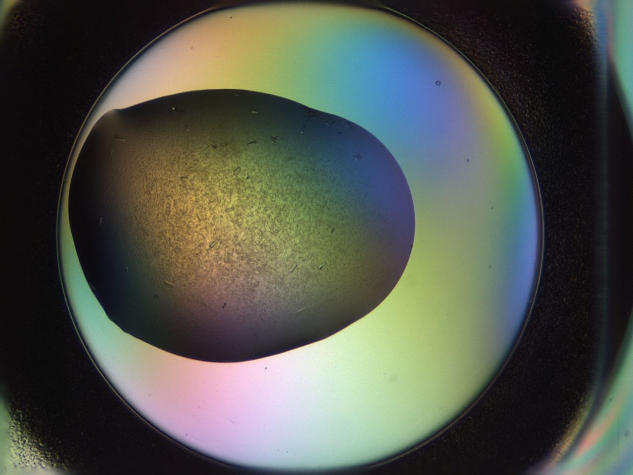 02kl_G6_ImagerDefaults_9.jpg