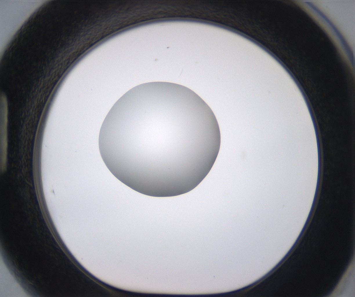 folderID379_plateID2379_batchID11224_wellNum89_profileID1_d1_r175451_ef.jpg