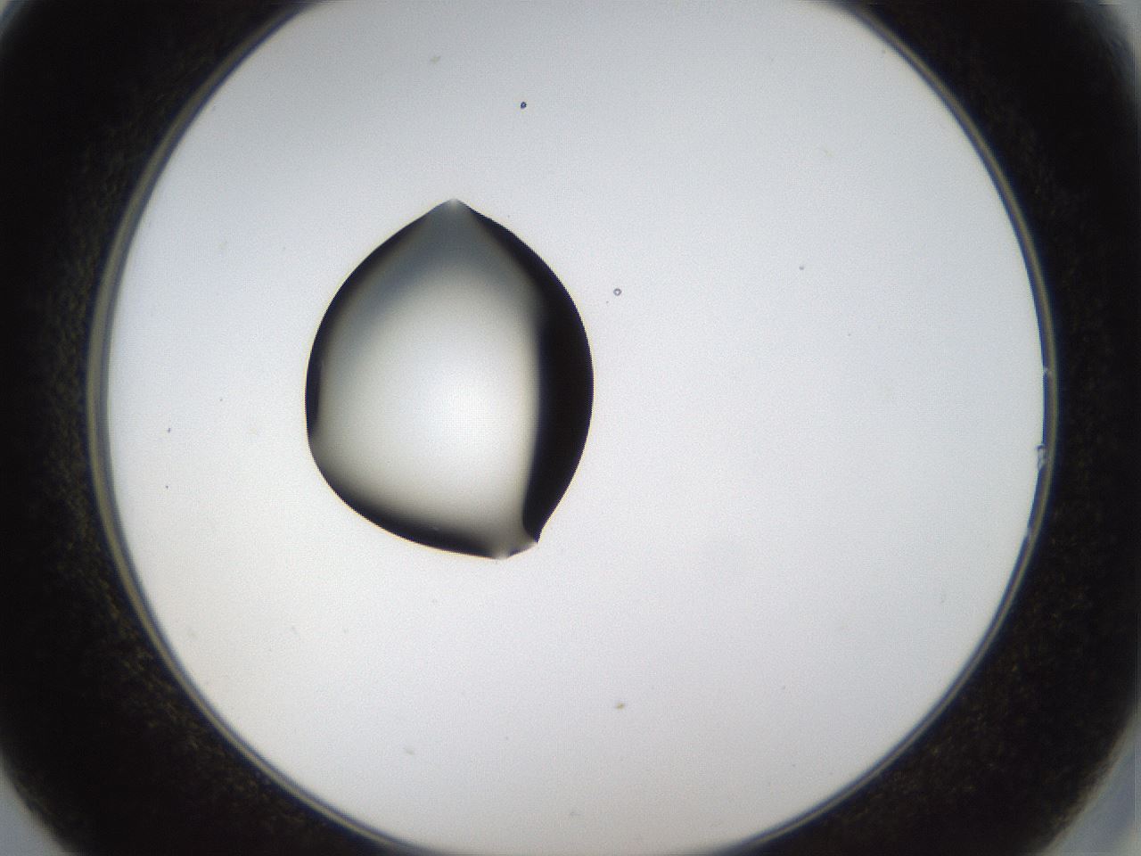 folderID37_plateID1037_batchID2104_wellNum14_profileID1_d2_r45987_ef.jpg