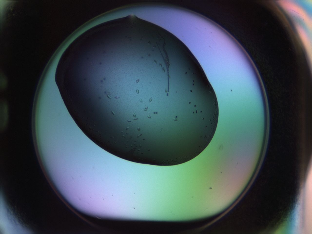 02kl_G9_ImagerDefaults_9.jpg