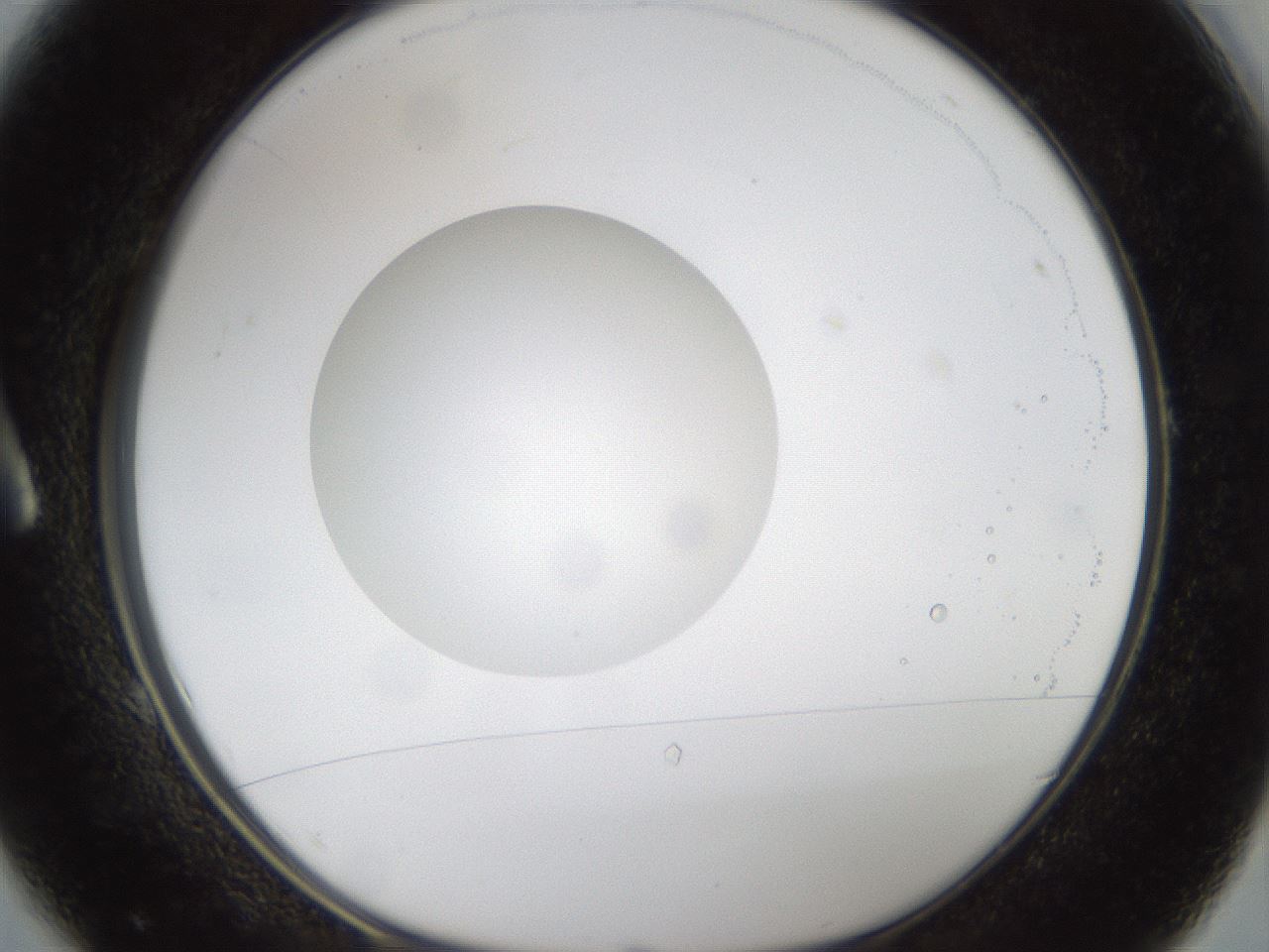 folderID37_plateID1037_batchID2104_wellNum1_profileID1_d1_r45960_ef.jpg