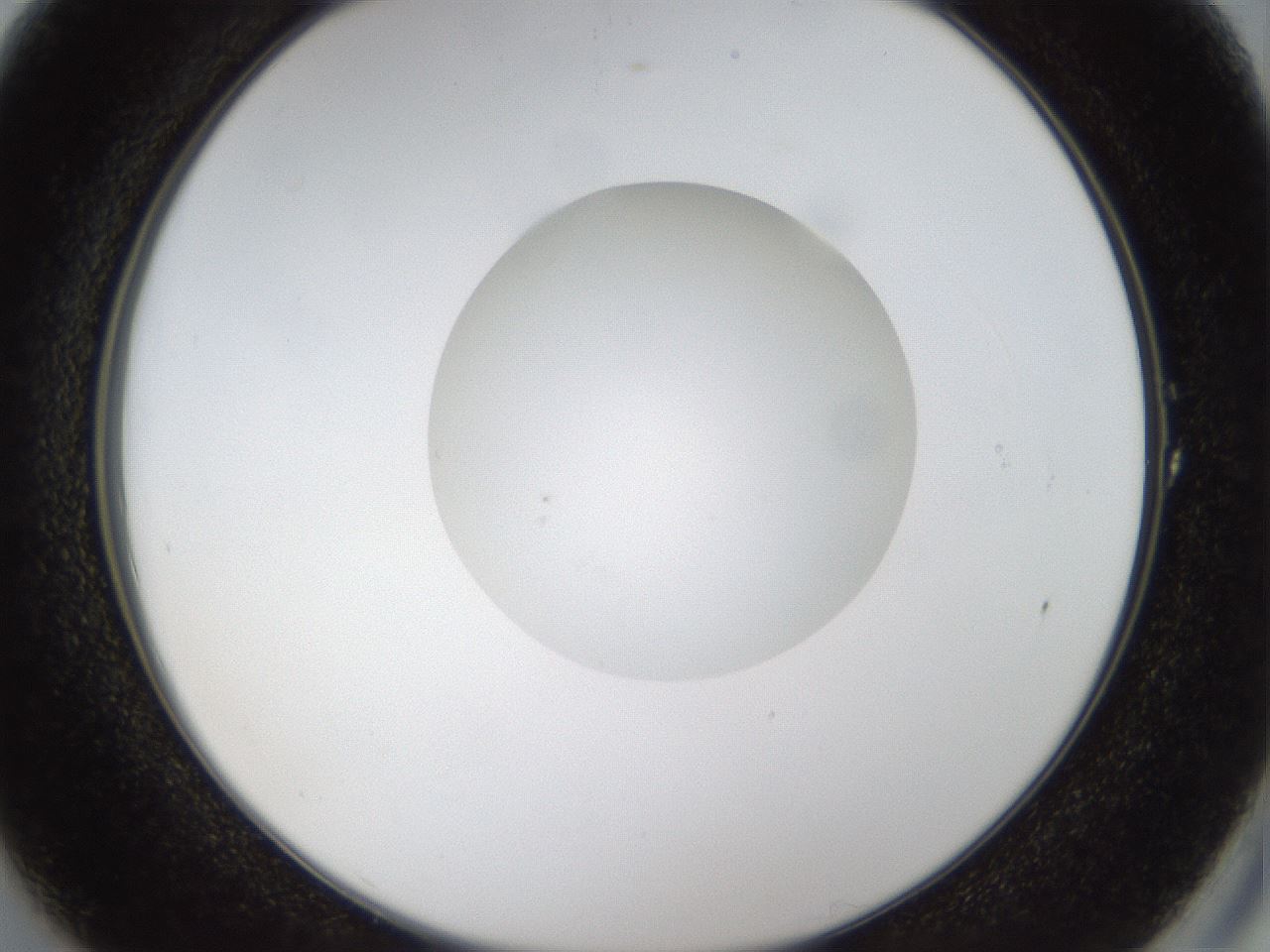folderID37_plateID1037_batchID2104_wellNum1_profileID1_d2_r45961_ef.jpg