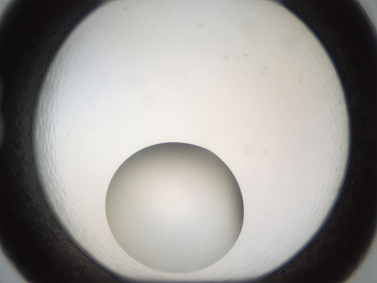 folderID37_plateID1037_batchID2104_wellNum20_profileID1_d1_r45998_ef.jpg