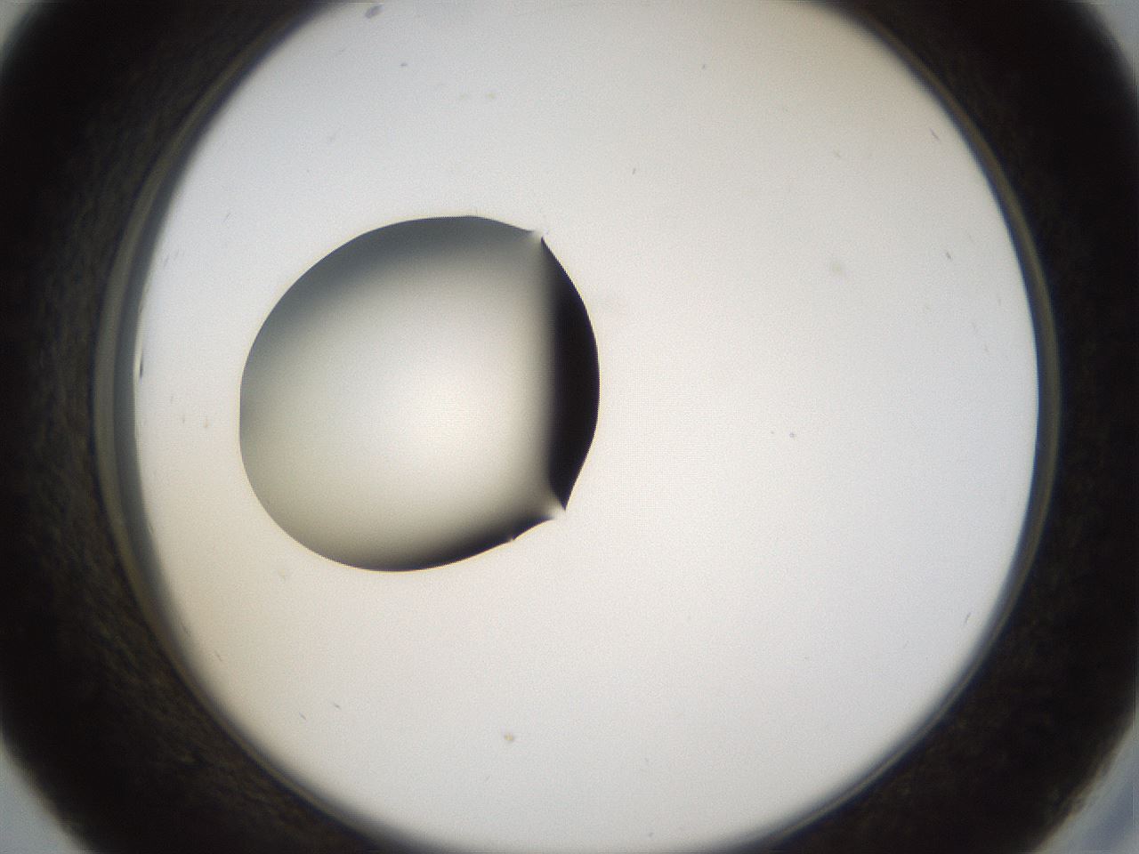 folderID37_plateID1037_batchID2104_wellNum43_profileID1_d2_r46045_ef.jpg