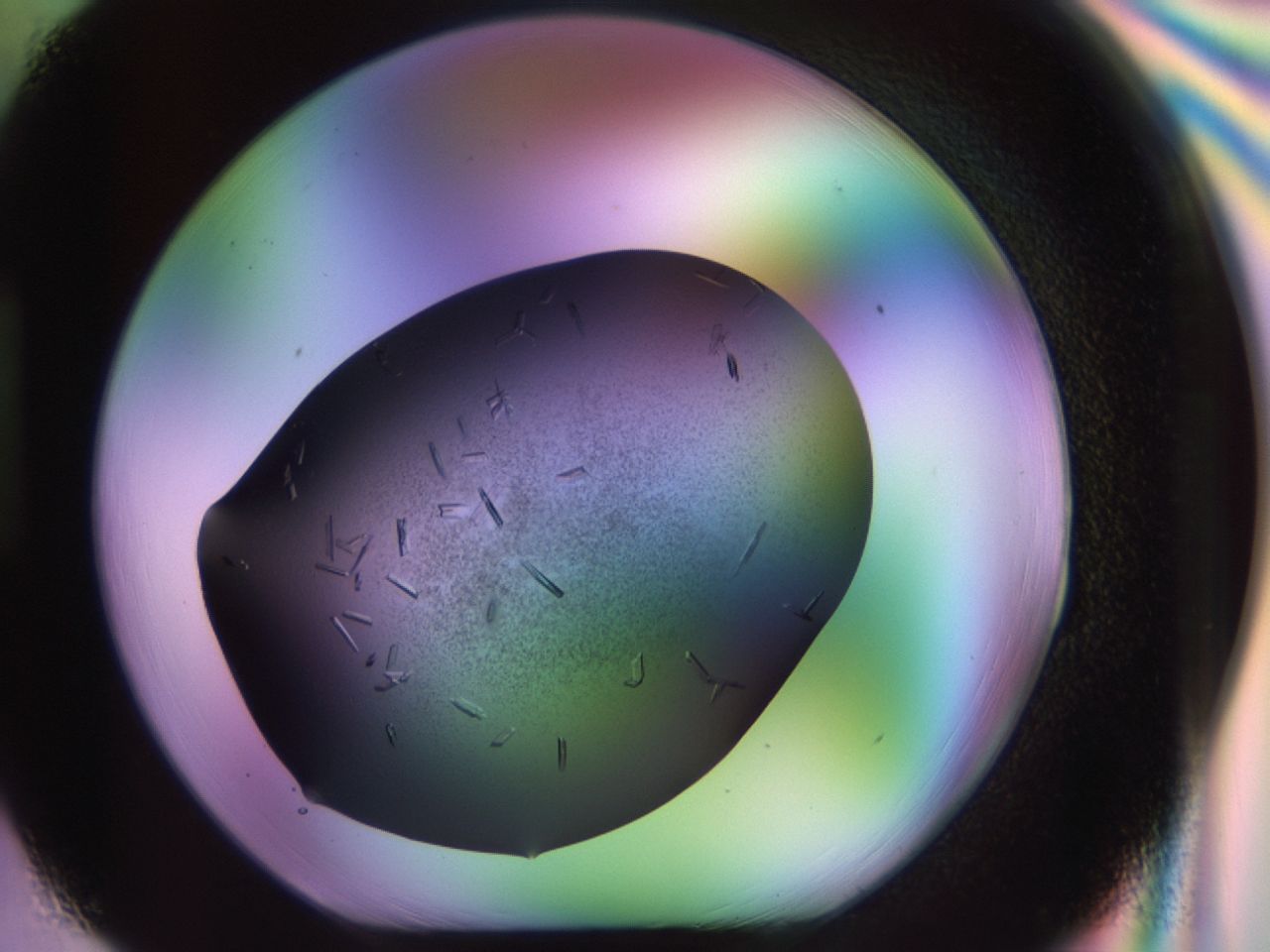 02kl_H3_ImagerDefaults_9.jpg