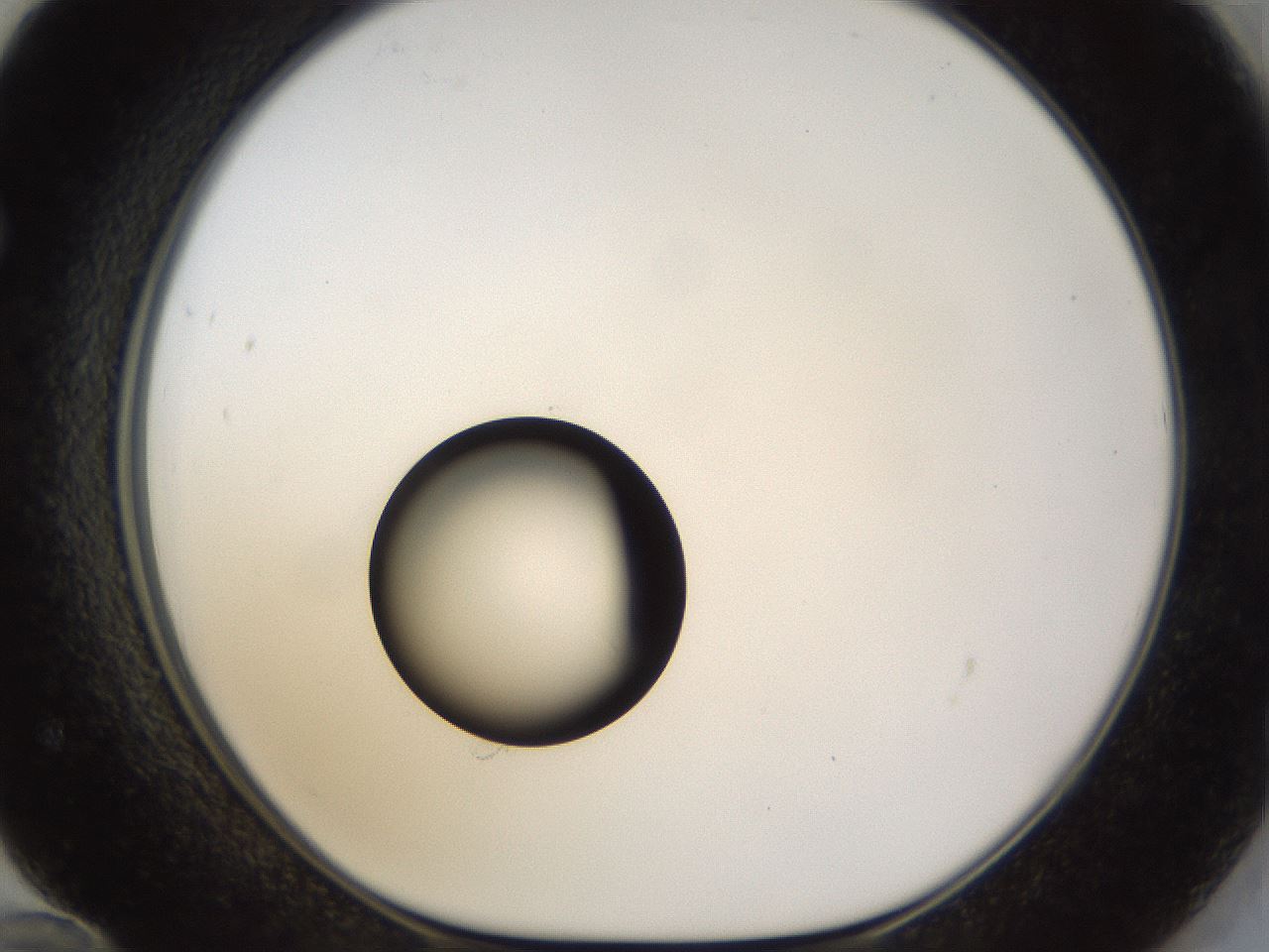folderID37_plateID1037_batchID2104_wellNum72_profileID1_d1_r46102_ef.jpg