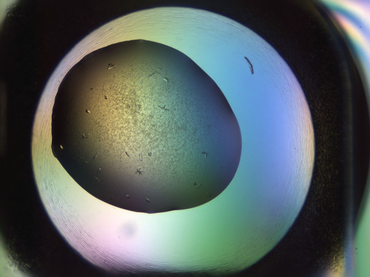 02kl_H5_ImagerDefaults_9.jpg