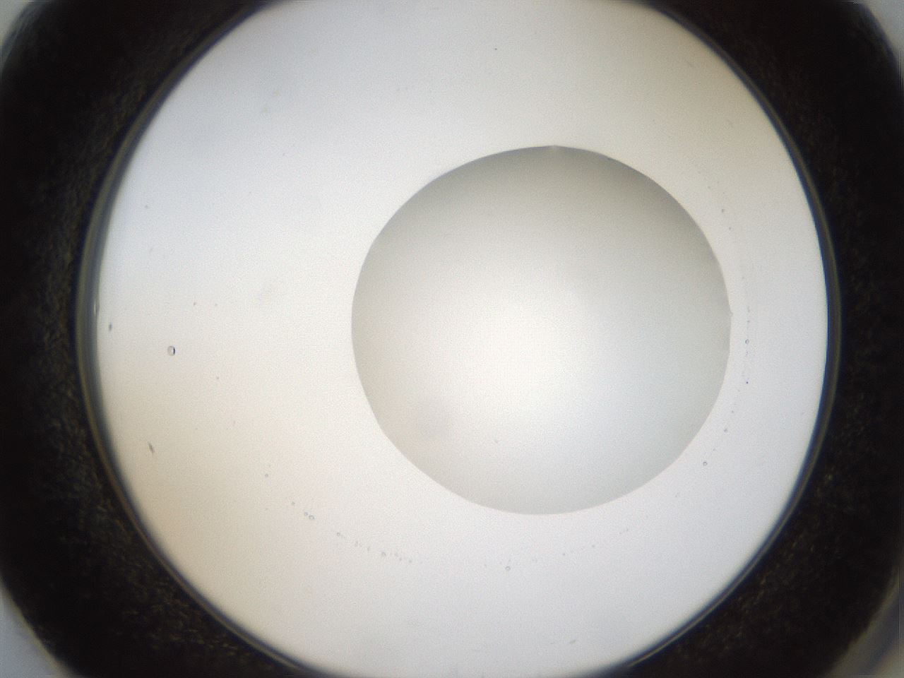 folderID37_plateID1037_batchID2104_wellNum61_profileID1_d2_r46081_ef.jpg