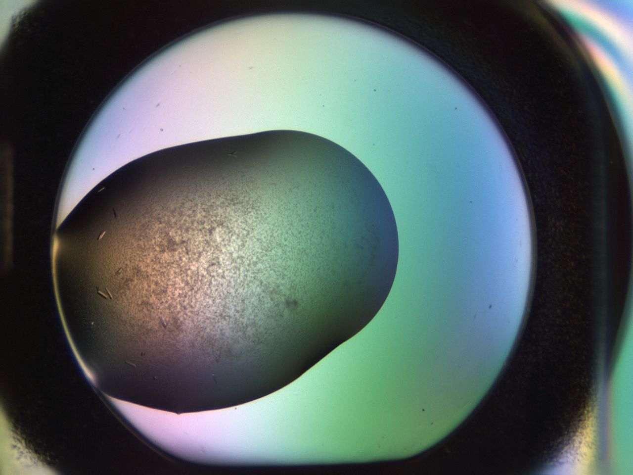 02kl_H6_ImagerDefaults_9.jpg