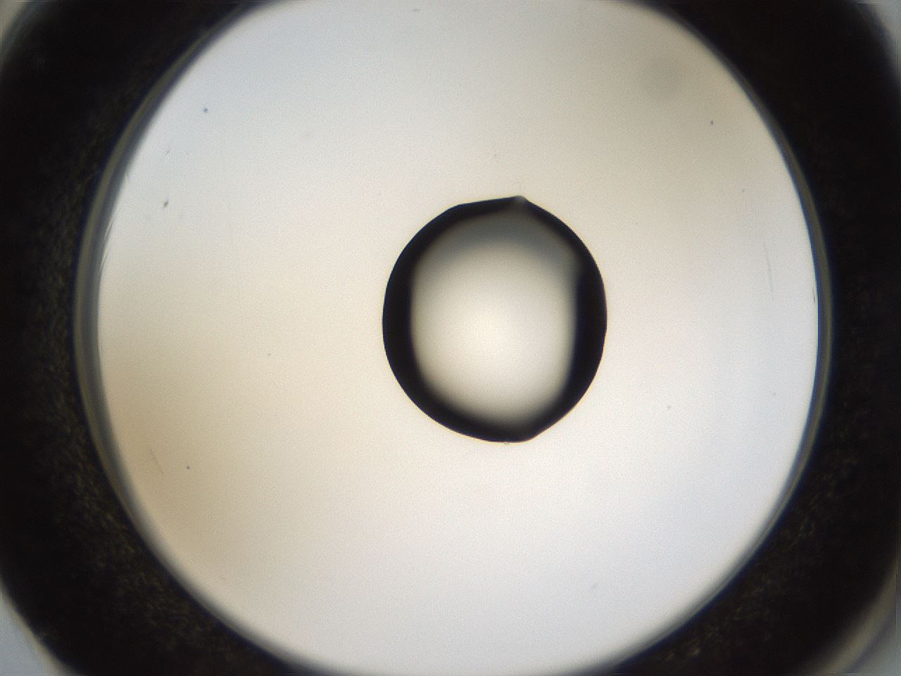 folderID37_plateID1037_batchID2104_wellNum62_profileID1_d2_r46083_ef.jpg