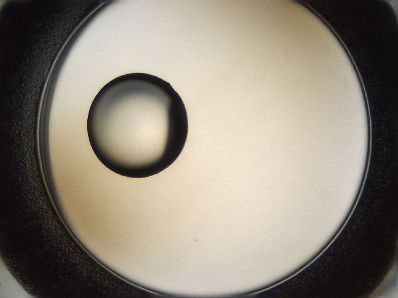 folderID37_plateID1037_batchID2104_wellNum72_profileID1_d2_r46103_ef.jpg
