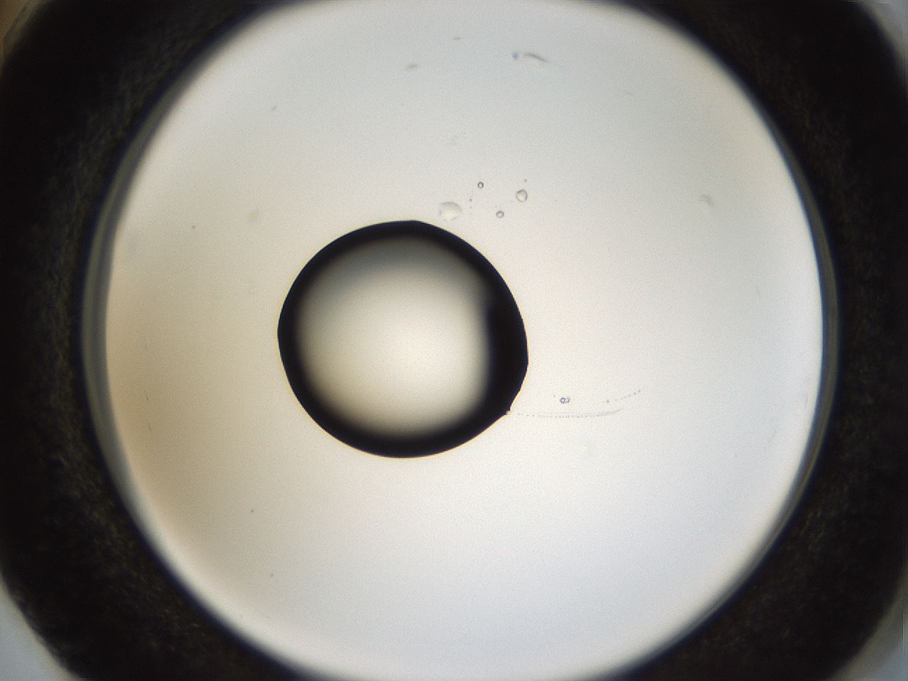 folderID37_plateID1037_batchID2104_wellNum74_profileID1_d2_r46107_ef.jpg