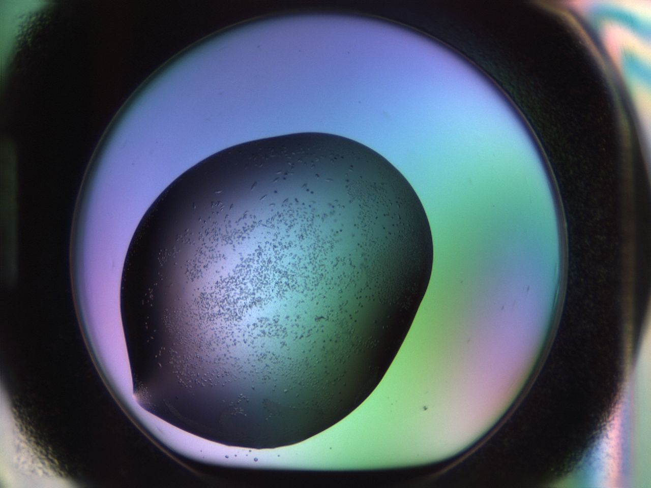 02kl_H9_ImagerDefaults_9.jpg