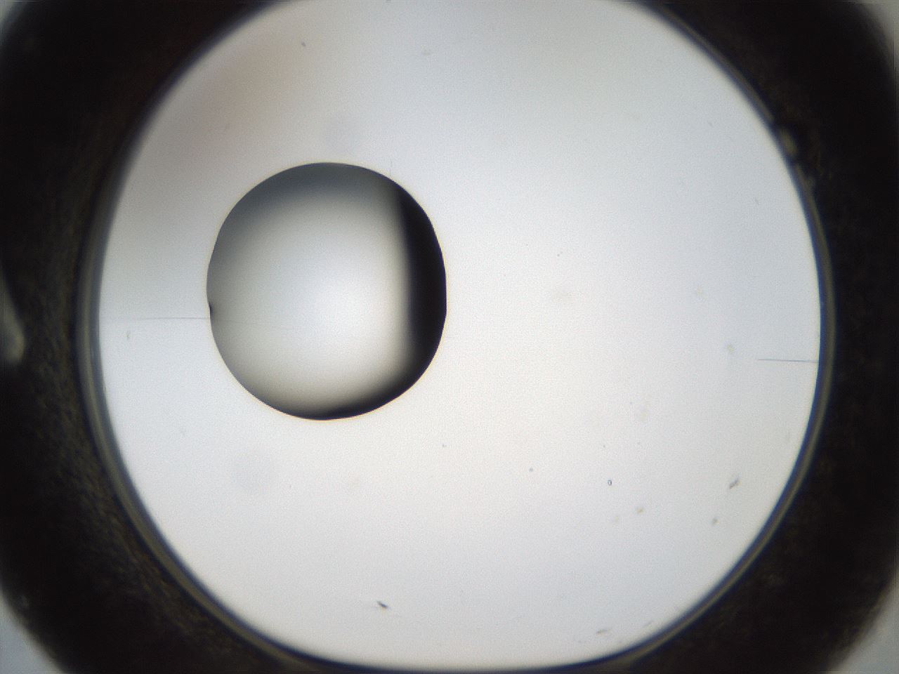 folderID37_plateID1037_batchID2104_wellNum7_profileID1_d1_r45972_ef.jpg