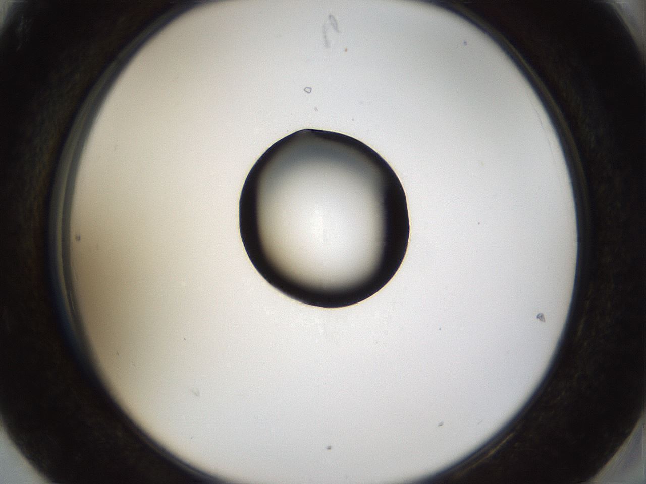 folderID37_plateID1037_batchID2104_wellNum90_profileID1_d2_r46139_ef.jpg