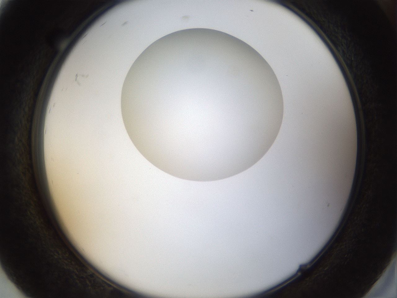 folderID37_plateID1037_batchID2104_wellNum92_profileID1_d2_r46143_ef.jpg